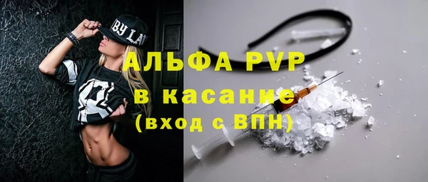 ECSTASY Белокуриха