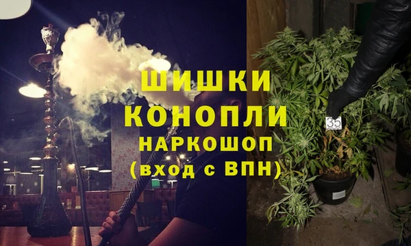 ECSTASY Белокуриха