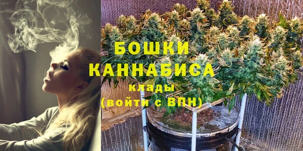 ECSTASY Белокуриха