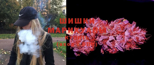 ECSTASY Белокуриха