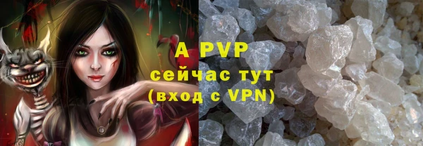 ECSTASY Белокуриха